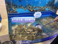 水产区-乔哥铭洋海鲜自助(皇城恒隆广场店)