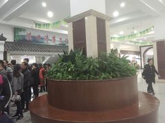 -溪口-滕头旅游景区