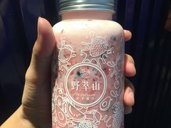 -野萃山·潮汕厚果汁(十亩地店)
