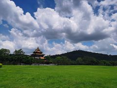-顺峰山公园