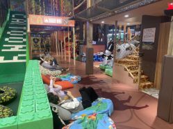 -卡通尼·Safari非洲探索乐园·生日会(金桥国际商业广场店)