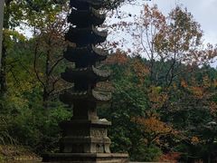 -玉苍山国家森林公园