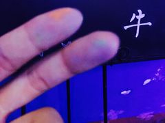 -星宿秘码(鼓浪屿老店)