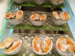 -半岛翡丽海鲜自助餐厅(观风亭店)