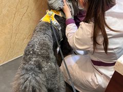 -宠爱国际动物医院·消化内科·心肾内科·ISFM猫友好(望京店)