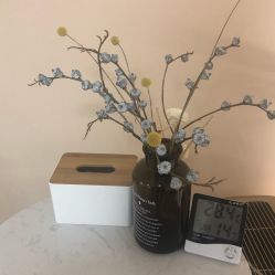 点击看大图 -赫本轻奢美颜中心