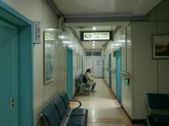 -北京观赏动物医院·24小时大型综合·猫专科·异宠专科