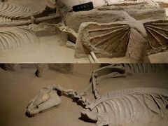 -洛阳周王城天子驾六博物馆