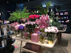 -BEAST野兽派(上海浦东嘉里城店)