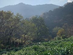 -水墨汀溪风景区