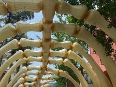 -重庆海昌加勒比海水世界