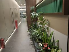 -通透堂中医·精准推拿(旗舰店)