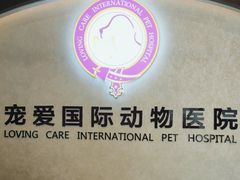 -宠爱国际动物医院·疑难骨科·心肾内科·皮肤科(太阳宫店)