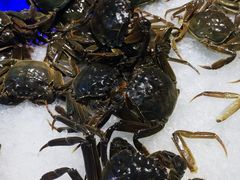 -六和聚传统烤鸭.天津菜(和平店)