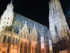 -斯蒂芬主教座堂(Stephansdom)