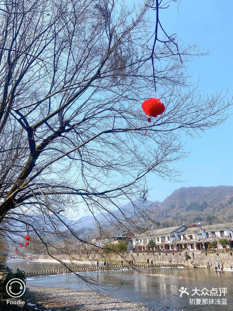 骆家坝 景区图片