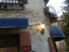 -不舍昼夜咖啡馆