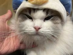 -听TA说宠咖·宠物生活馆(天韵水岸店)