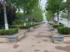 -大兴滨河森林公园