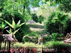 -西双版纳基诺山寨