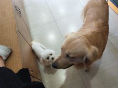 -佳雯宠物医院(四明中路分院)