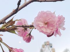 -观澜湖生态运动公社