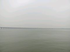 -宝安西湾红树林湿地公园