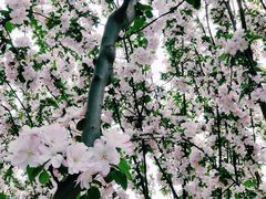 -永定河休闲森林公园