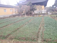 -重元寺香积厨素斋馆