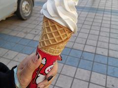 -蜜雪冰城·冰淇淋与茶(福大店)