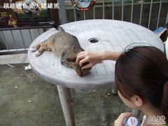 -南丫岛
