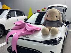 -上海浦东smart汽车全功能店(金桥店)