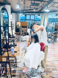 -IDOL-PLUS