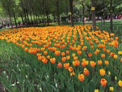 -长春公园(普阳街道)