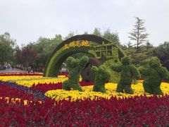 -大兴滨河森林公园