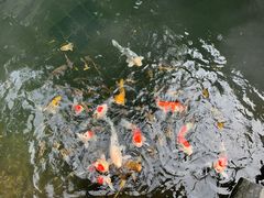 -新荣记(西溪湿地店)