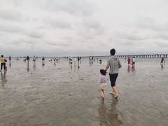 -南汇嘴观海公园