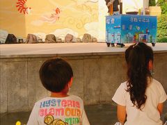 -郑州方特梦幻王国