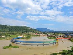 -四明山国家森林公园