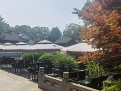 -祝家花園(伯渎港店)