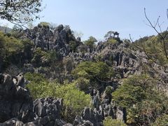 -千岛湖石林