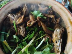 -霞姐屯昌枫木香草鸭店(海螺店)