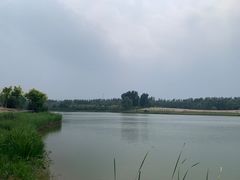 -东郊湿地公园
