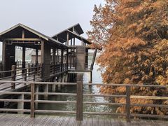 -溱湖国家湿地公园