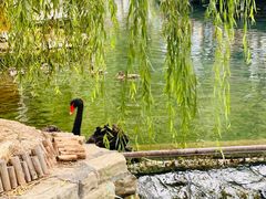 -水磨沟公园