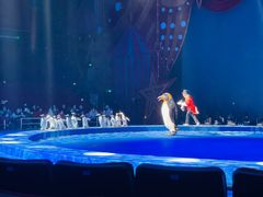 -珠海横琴长隆《卡卡虎奇遇记》