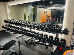 -健身专家Wellness Experts