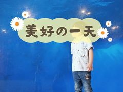 -横店影视城梦幻谷园区