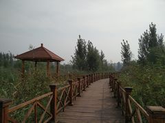 栈道-微山湖红荷湿地景区
