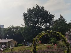 -深圳野生动物园